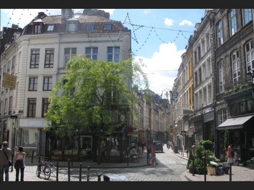 Appartement - Lille - 170406