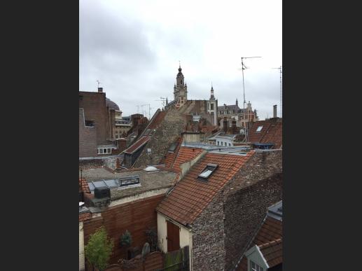Appartement - Lille - 170406
