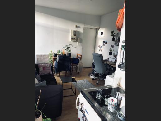Appartement - LILLE - 240101
