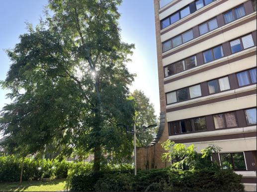 Appartement - LILLE - 250902